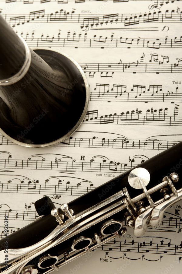 NPC online digital music shop. 