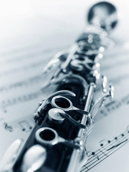 Pachabel's Canon for Clarinet Quartet